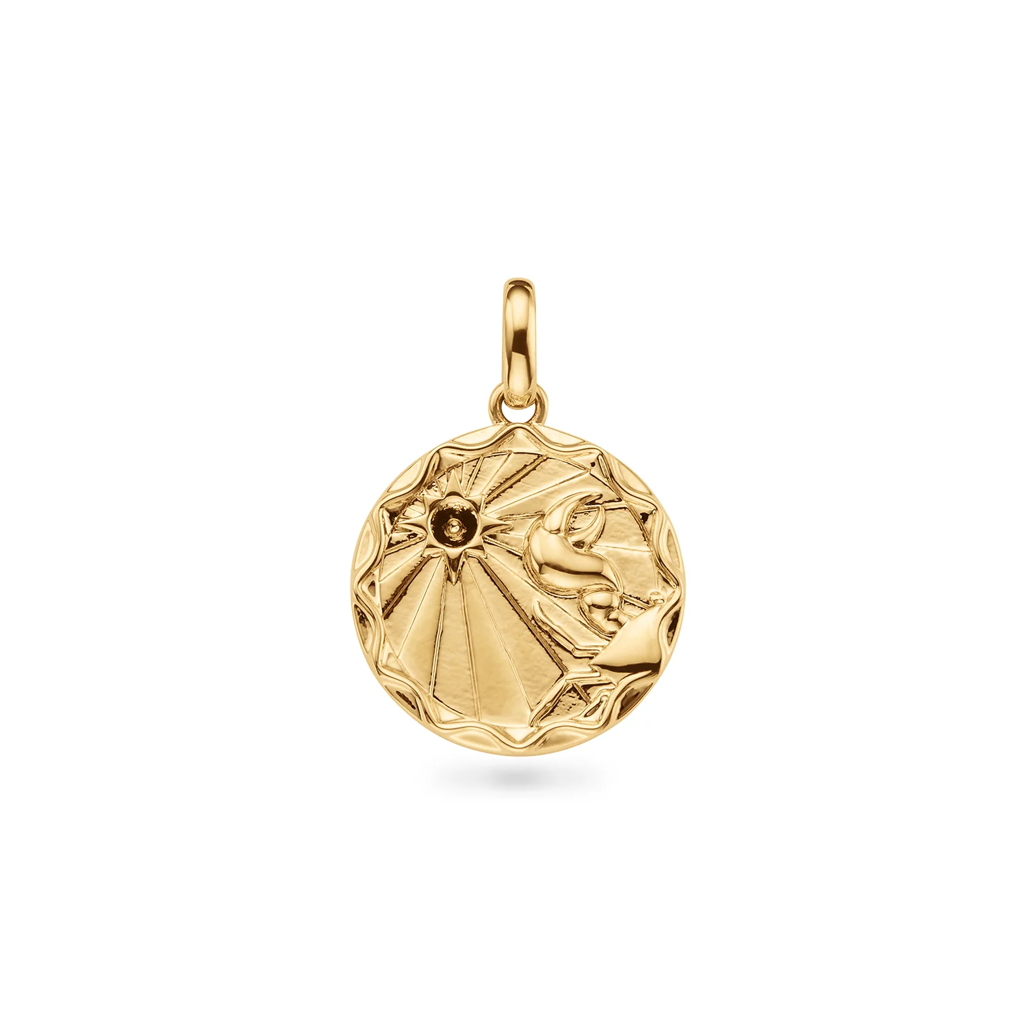 Custom Zodiac Coin Necklace (Gold)