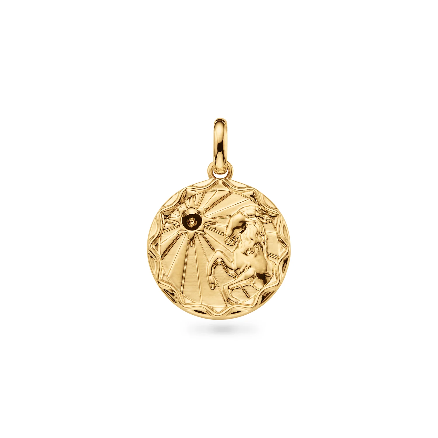 Custom Zodiac Coin Necklace (Gold)