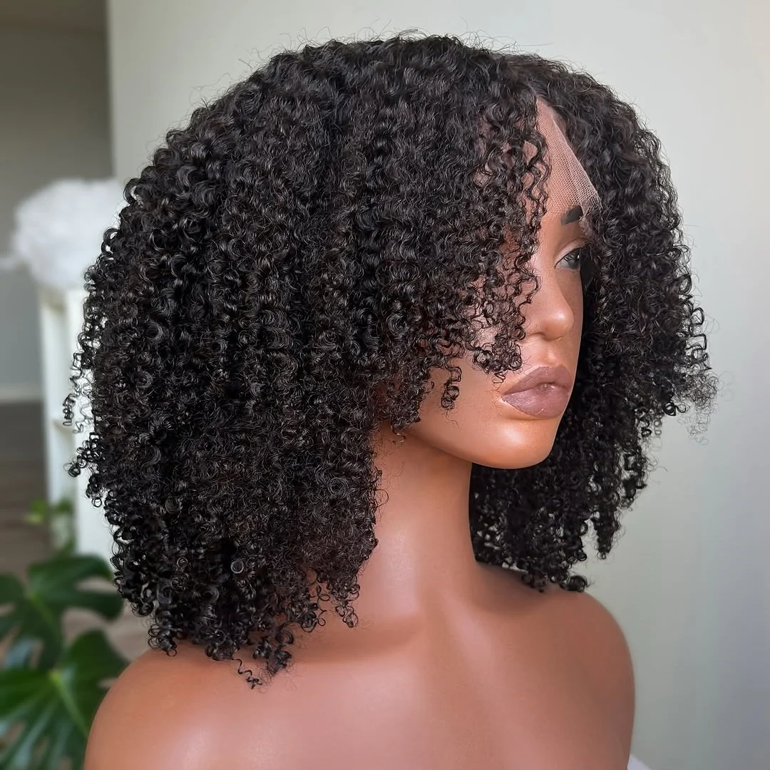 Afro Kinky Curly Layered Cut 5x5 Lace Closure Lace Wig