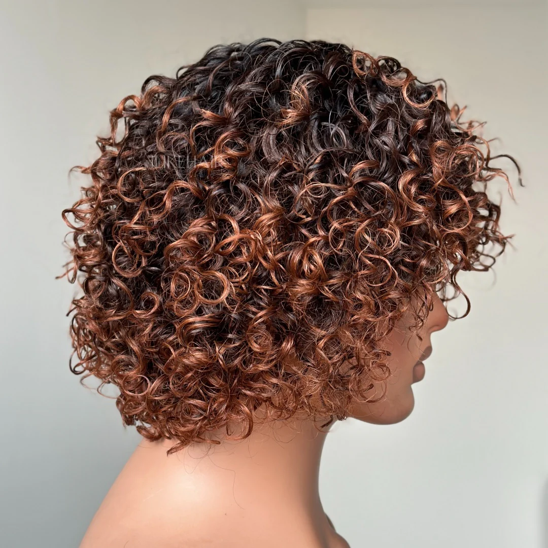 Put On & Go Short Ombre Auburn Brown Curly Wig With Bangs