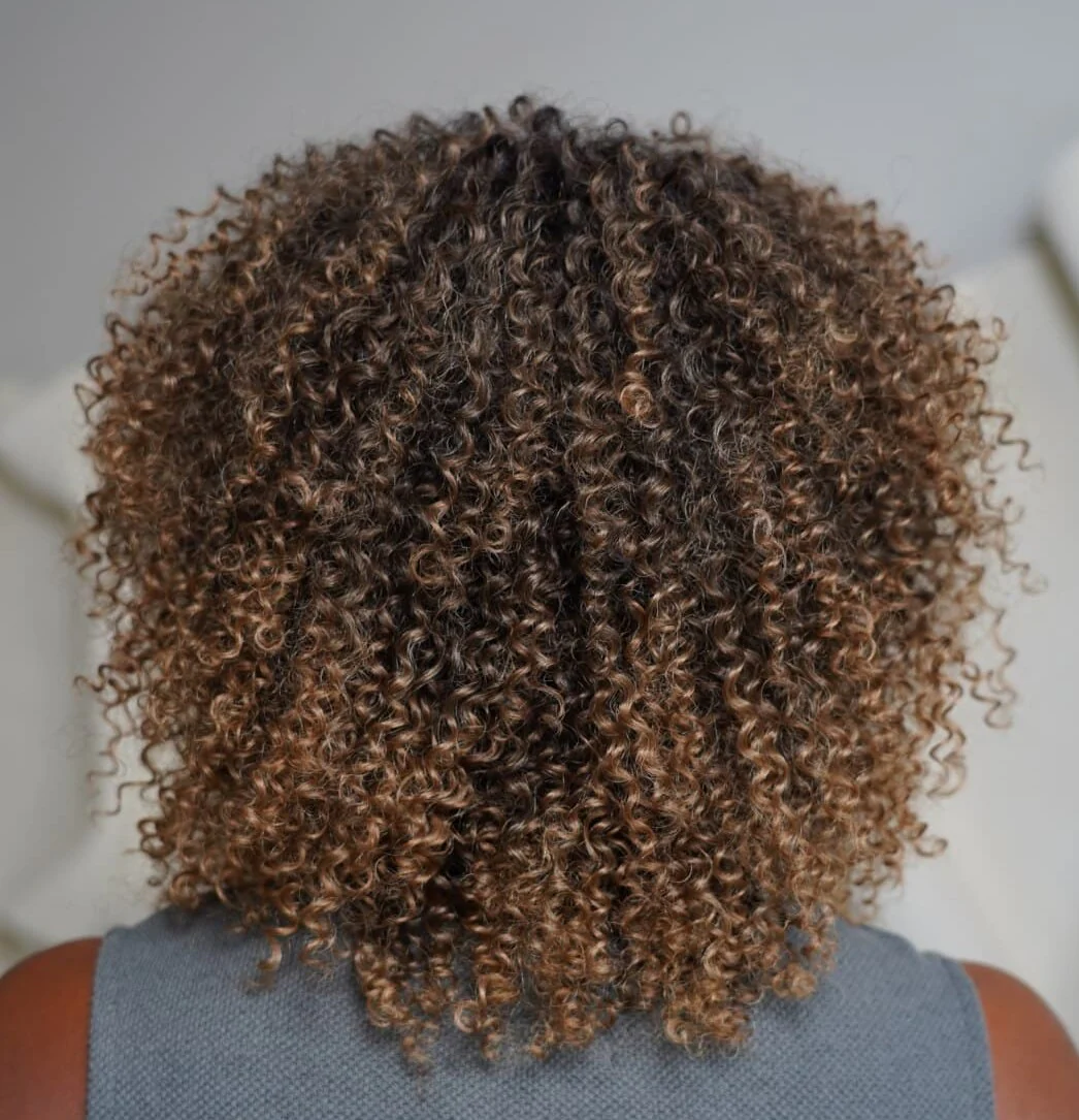 Put On & Go Short Ombre Dark Brown Curly Wig