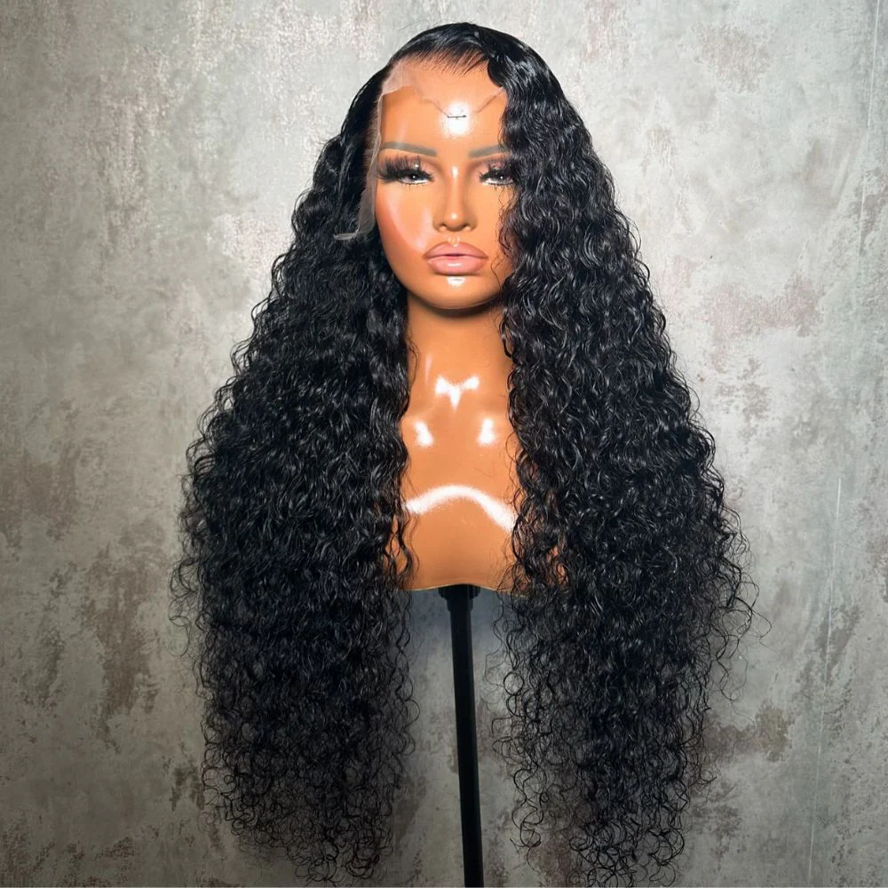 Put on & Go Glueless Curly 5x5 Pre Cut HD Lace Wig Beginner Friendly