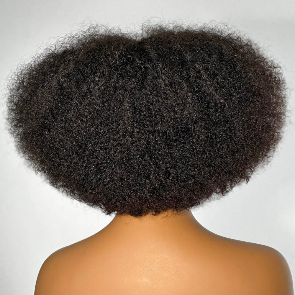 Best Beginner Afro Kinky Curly Human Hair Wig With Bangs