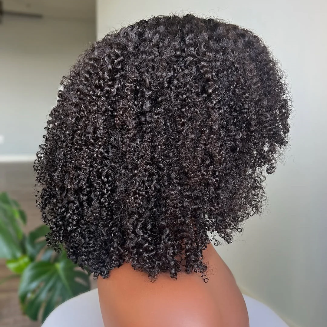 Afro Kinky Curly Layered Cut 5x5 Lace Closure Lace Wig