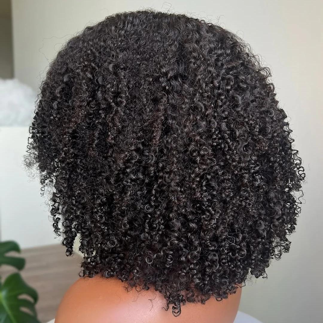 Afro Kinky Curly Layered Cut 5x5 Lace Closure Lace Wig