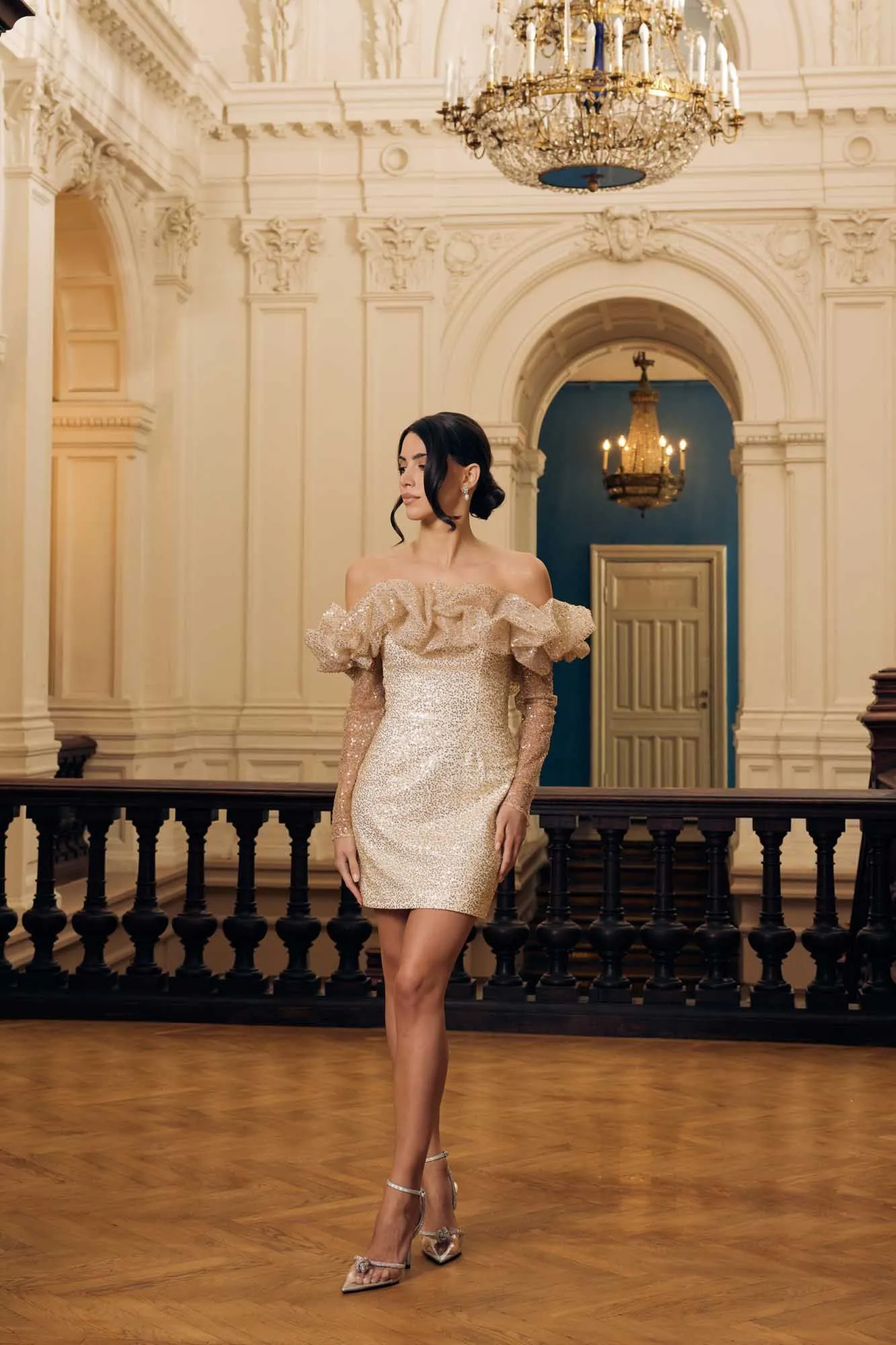 Meringue Long Sleeve Mini Dress