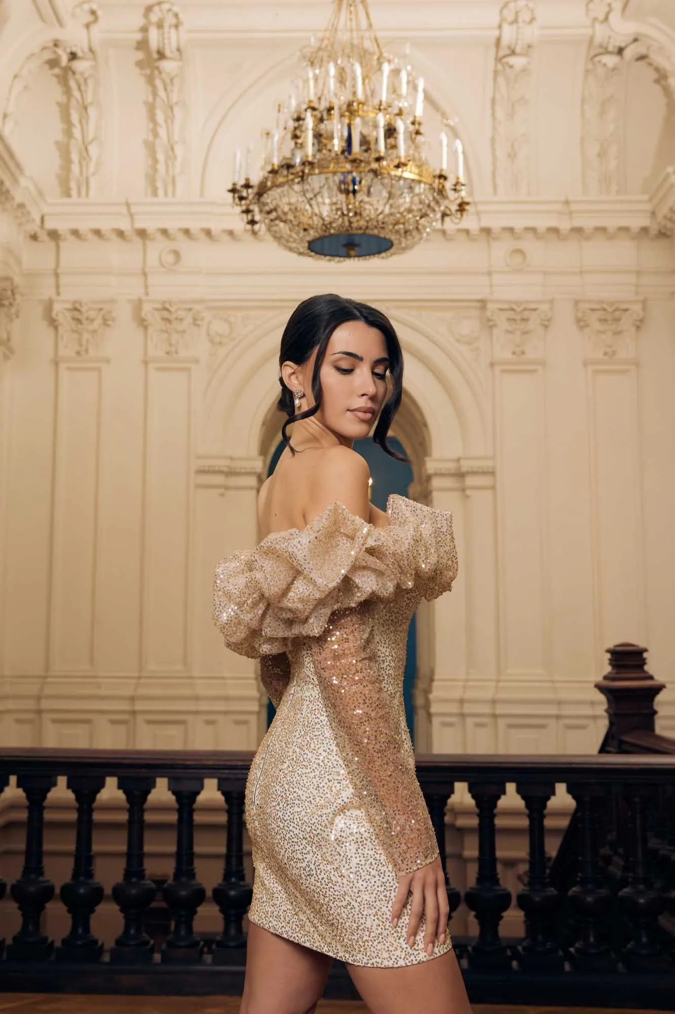 Meringue Long Sleeve Mini Dress