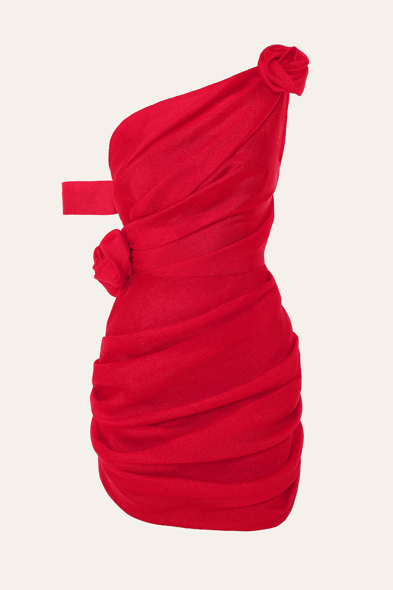 Rose Details Mini Dress