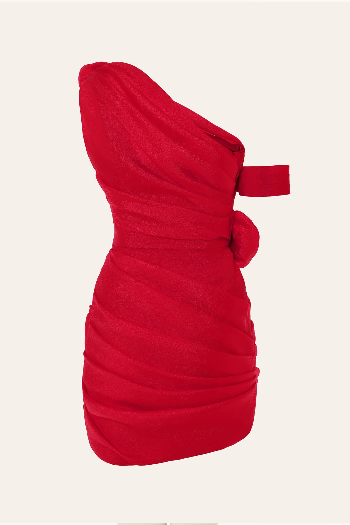 Rose Details Mini Dress