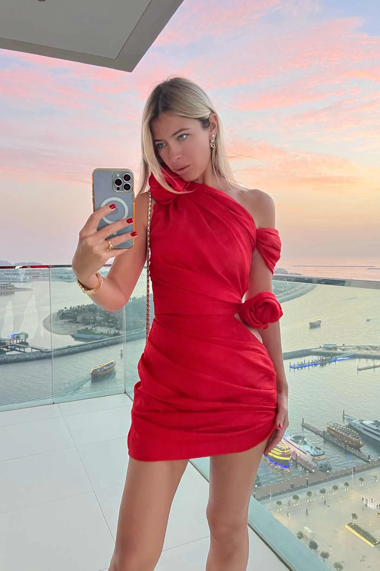 Rose Details Mini Dress
