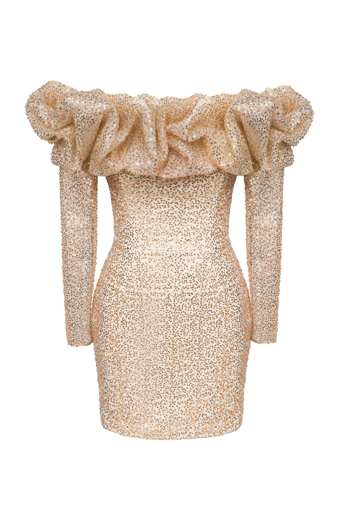 Meringue Long Sleeve Mini Dress