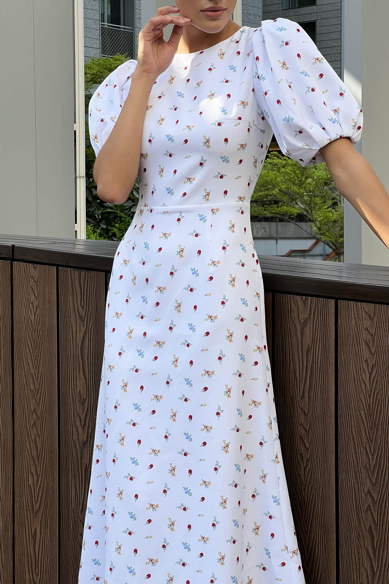 Puff Sleeve Printed Midi Dress