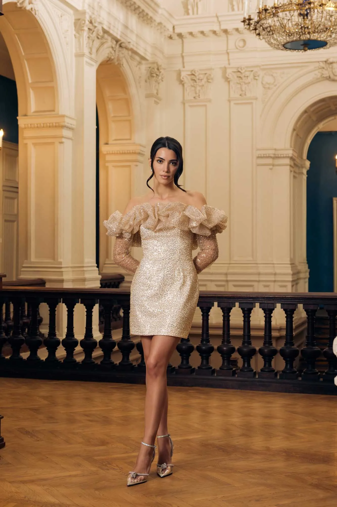 Meringue Long Sleeve Mini Dress