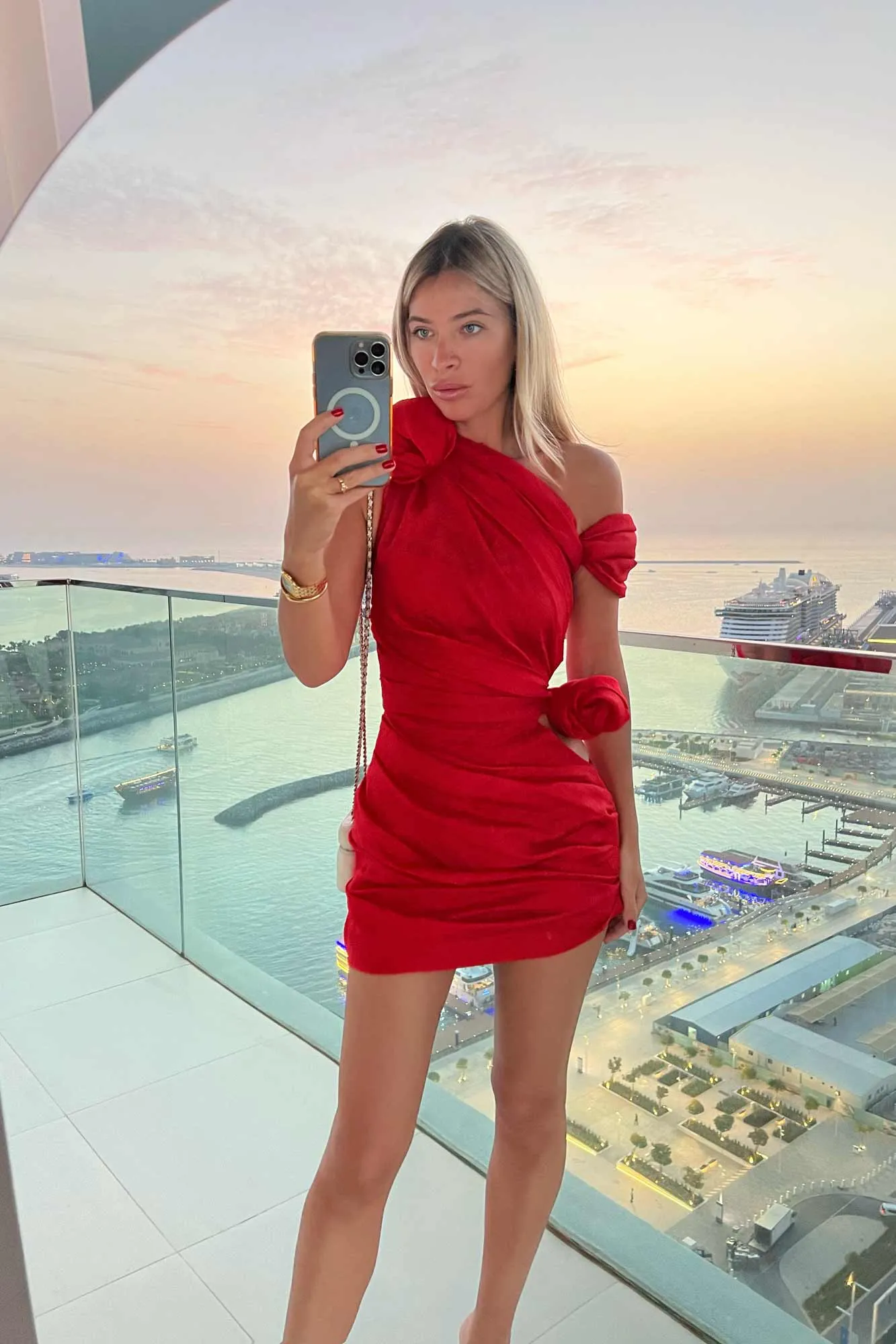 Rose Details Mini Dress