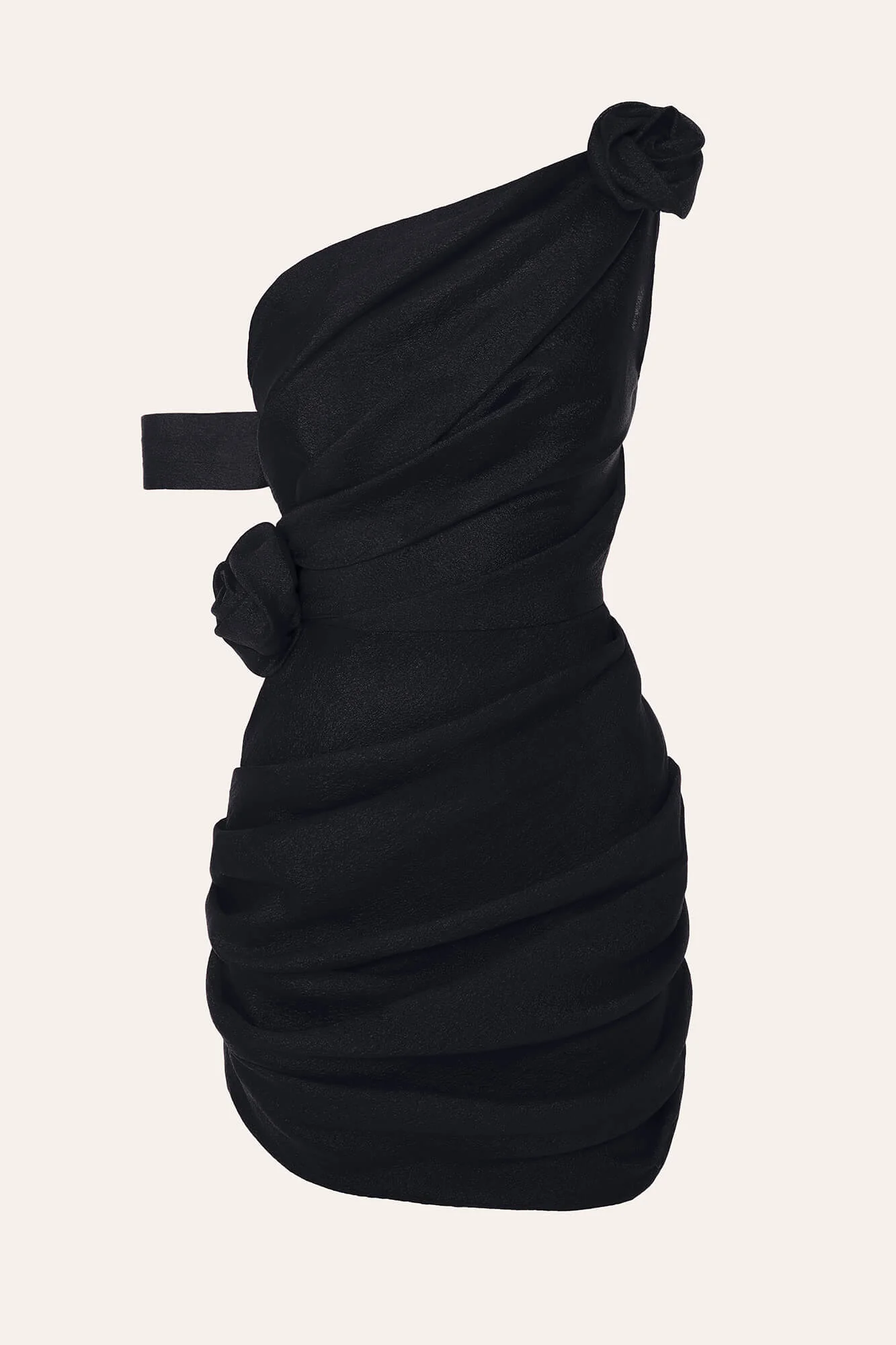 Rose Details Mini Dress