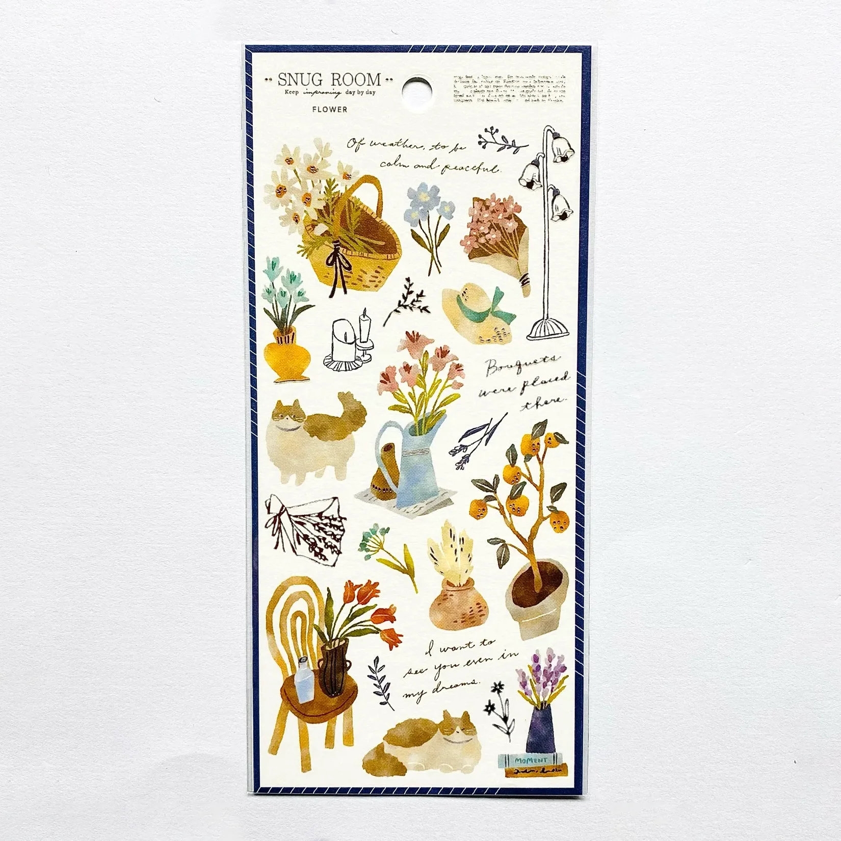 Mind Wave SNUG Room Stickers