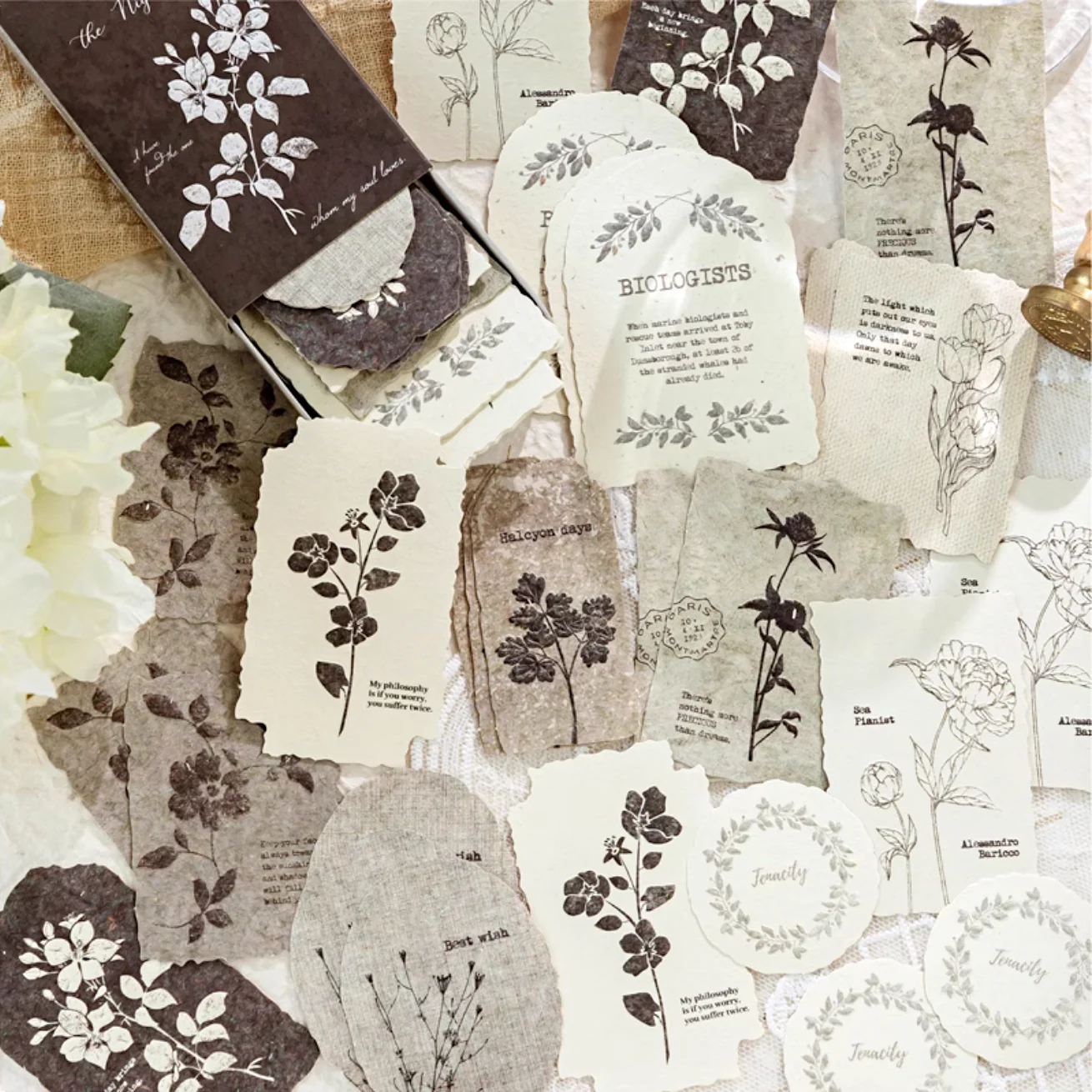Pressed Flowers Embossed Paper - Boxed Set