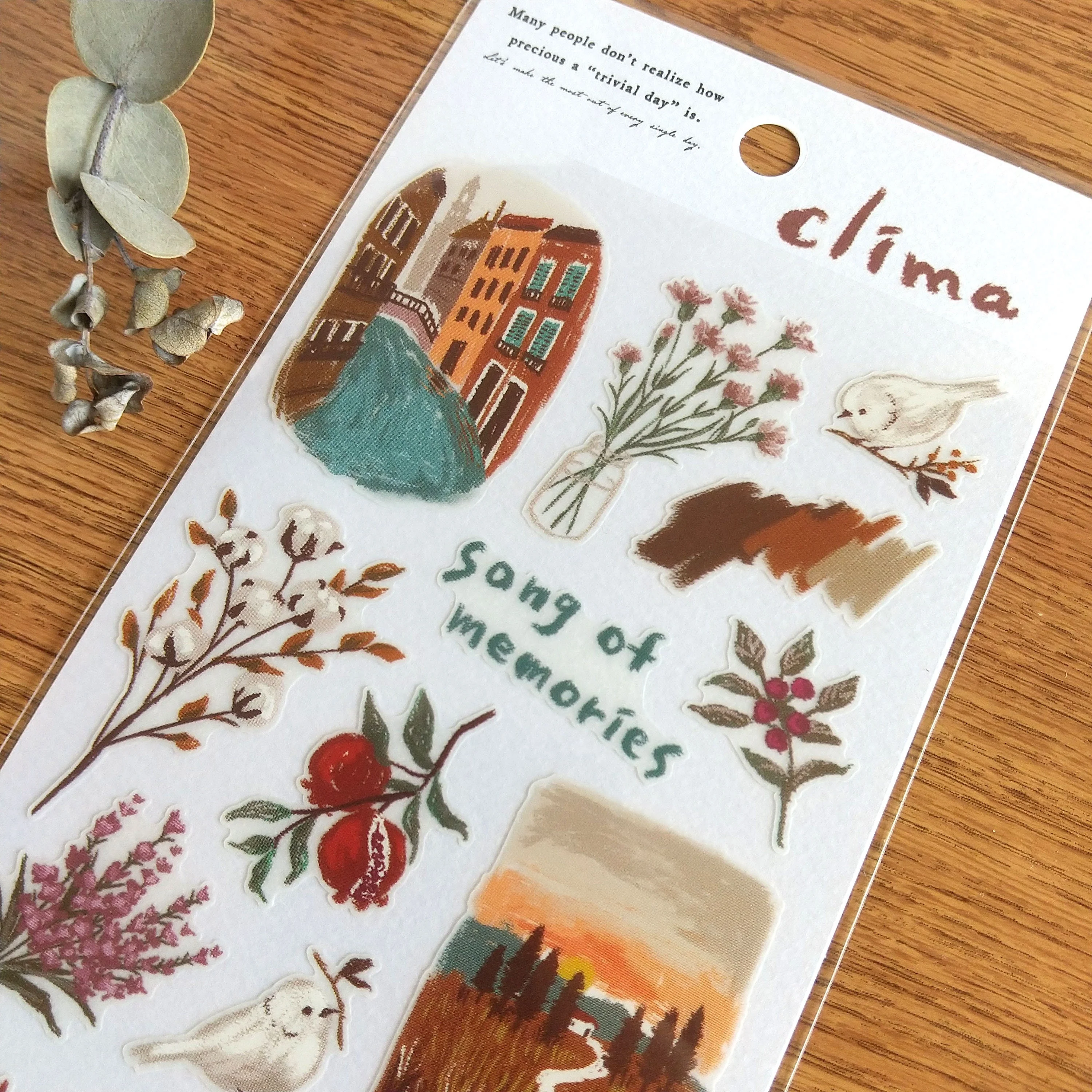 Mind Wave Clima Stickers