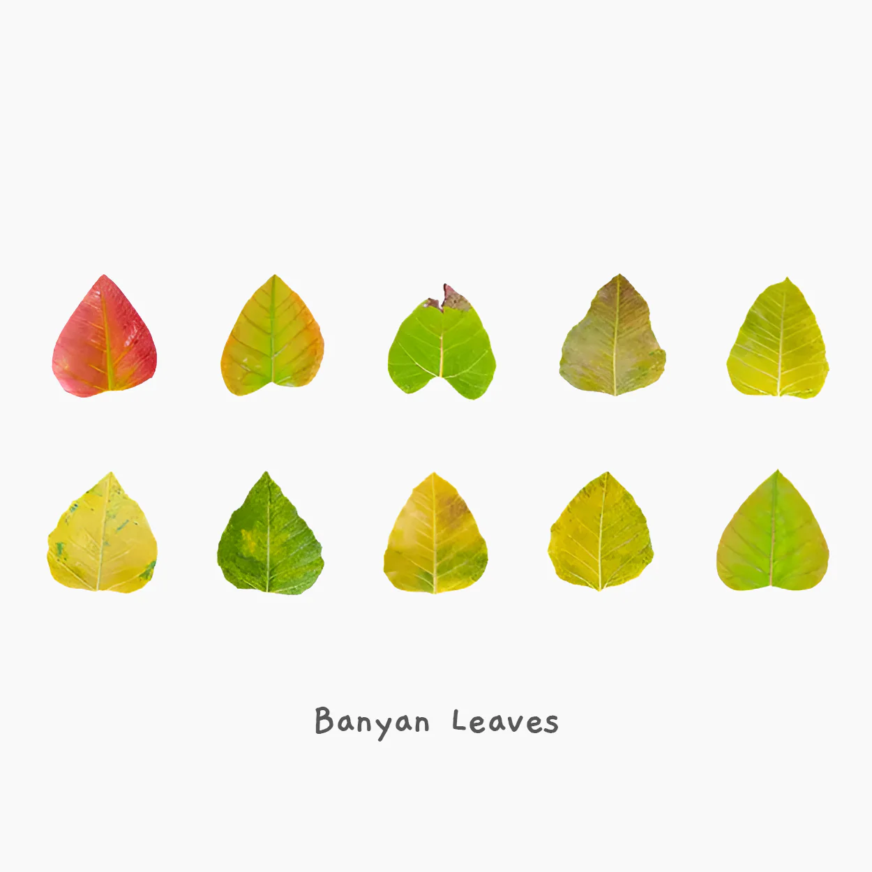 Fall Leaves Masking Sticker Roll