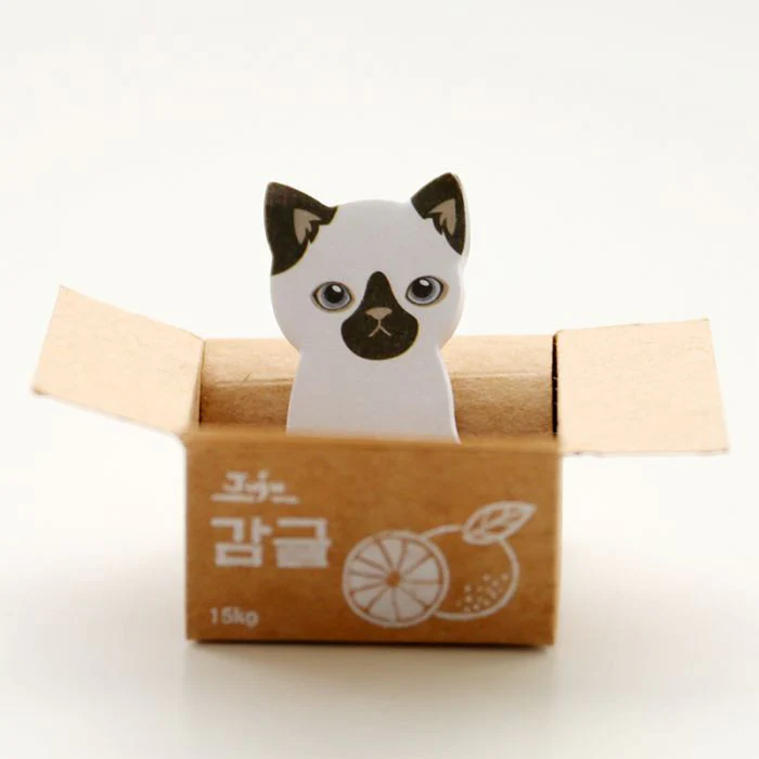 Kitty In A Box Sticky Notes