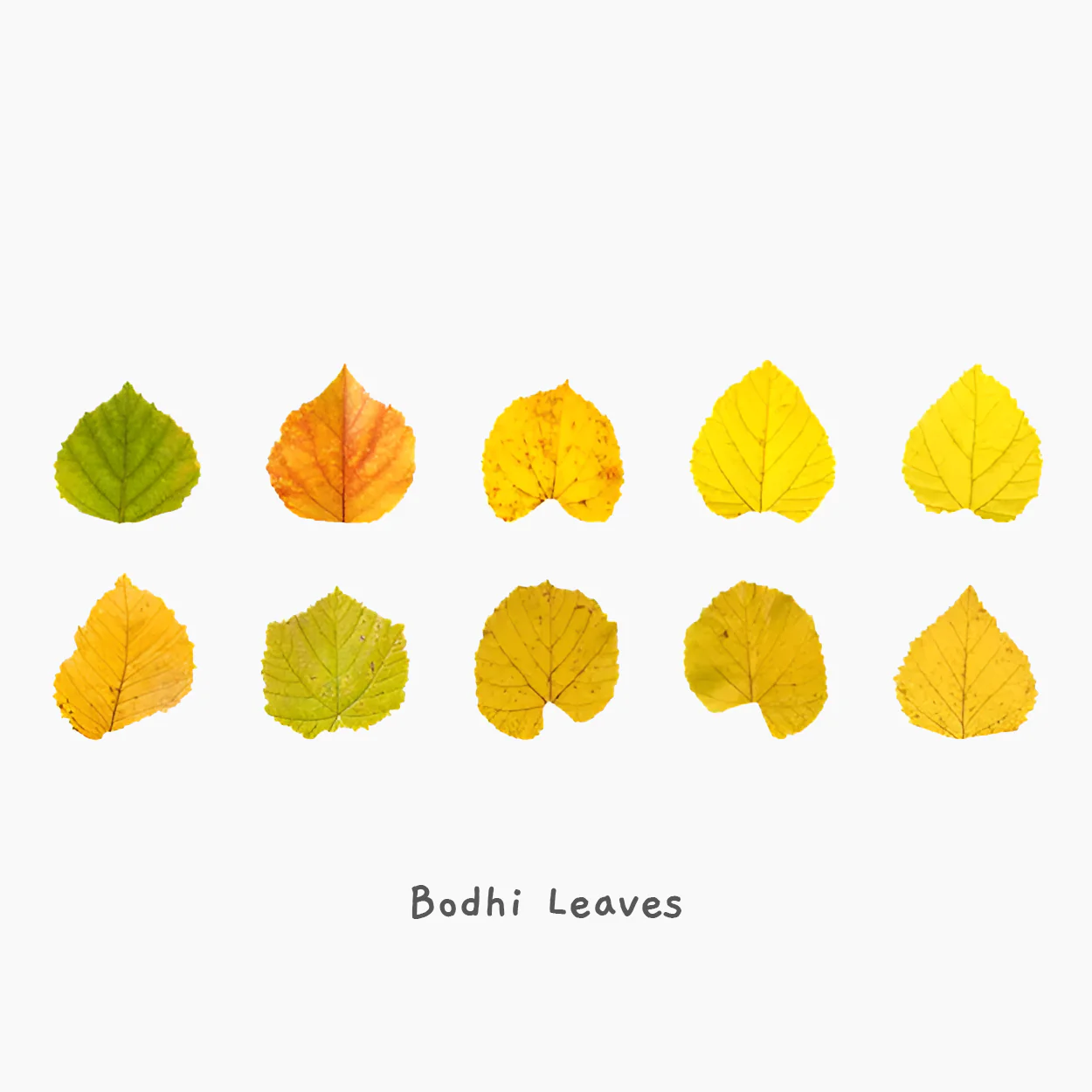 Fall Leaves Masking Sticker Roll