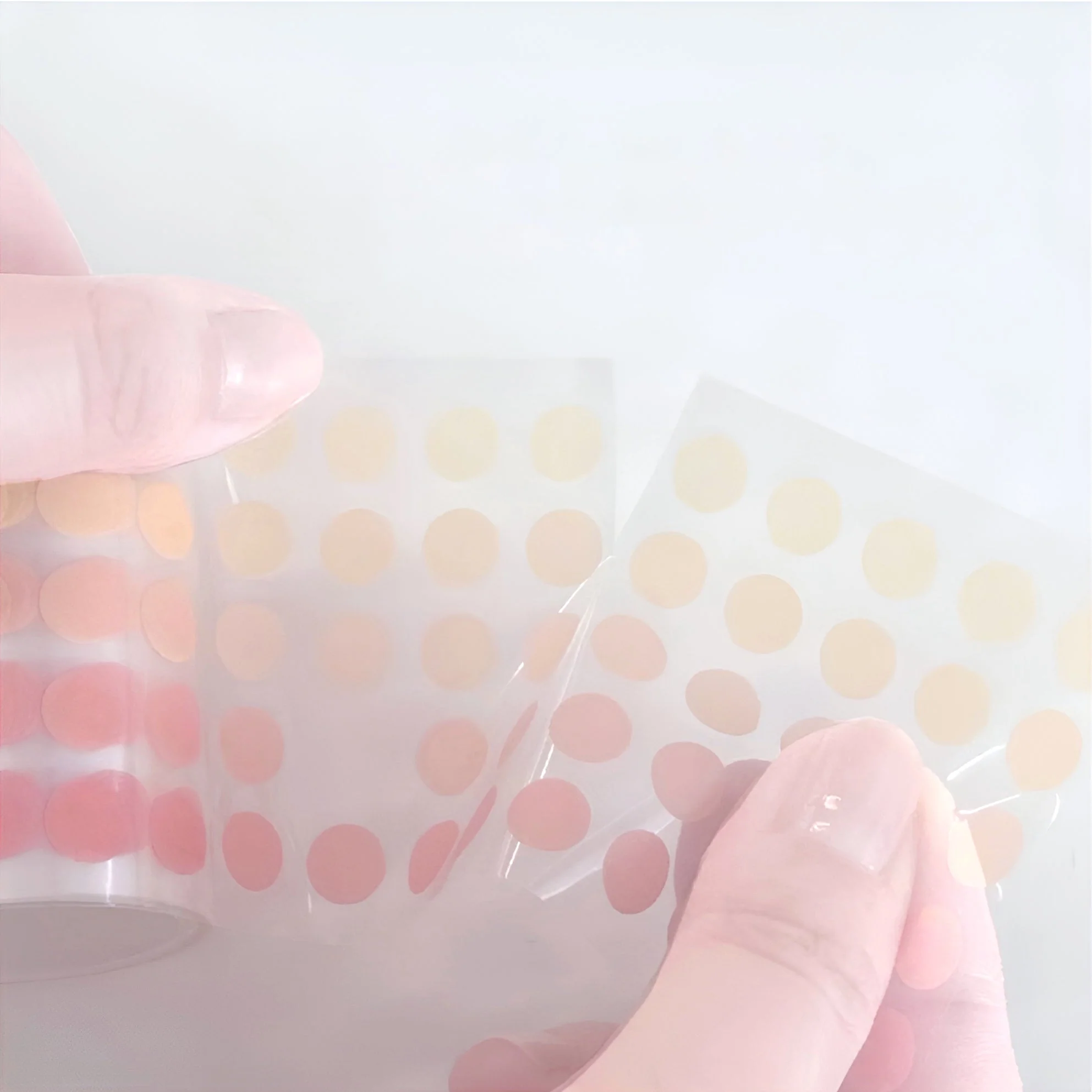 Sun-Star Die-Cut Dot Washi Sticker Roll