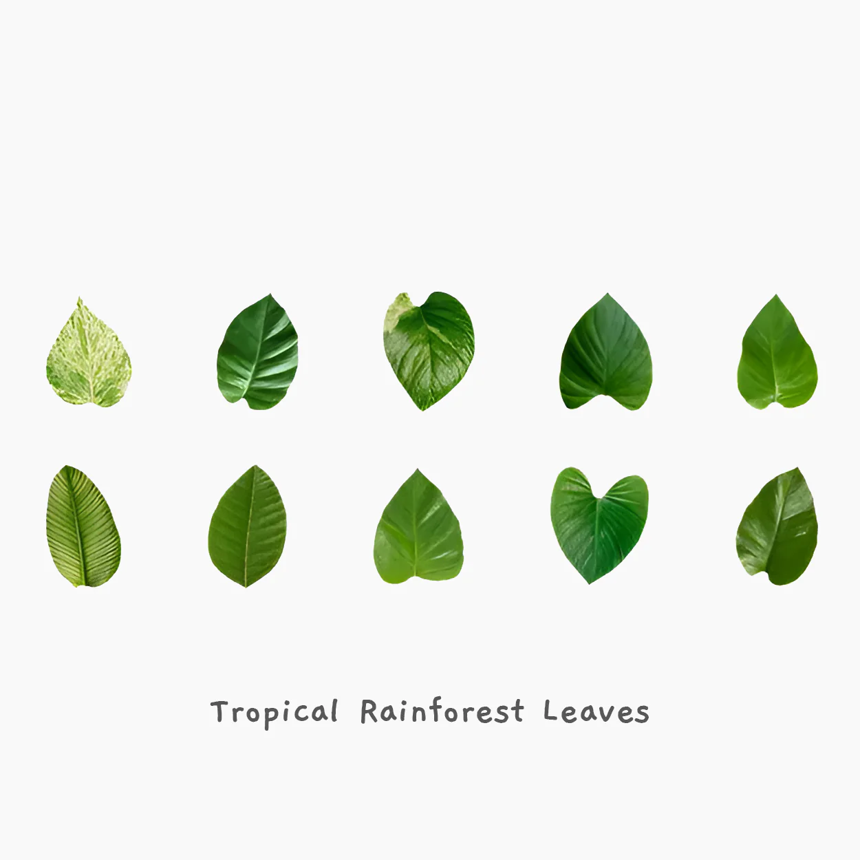 Fall Leaves Masking Sticker Roll