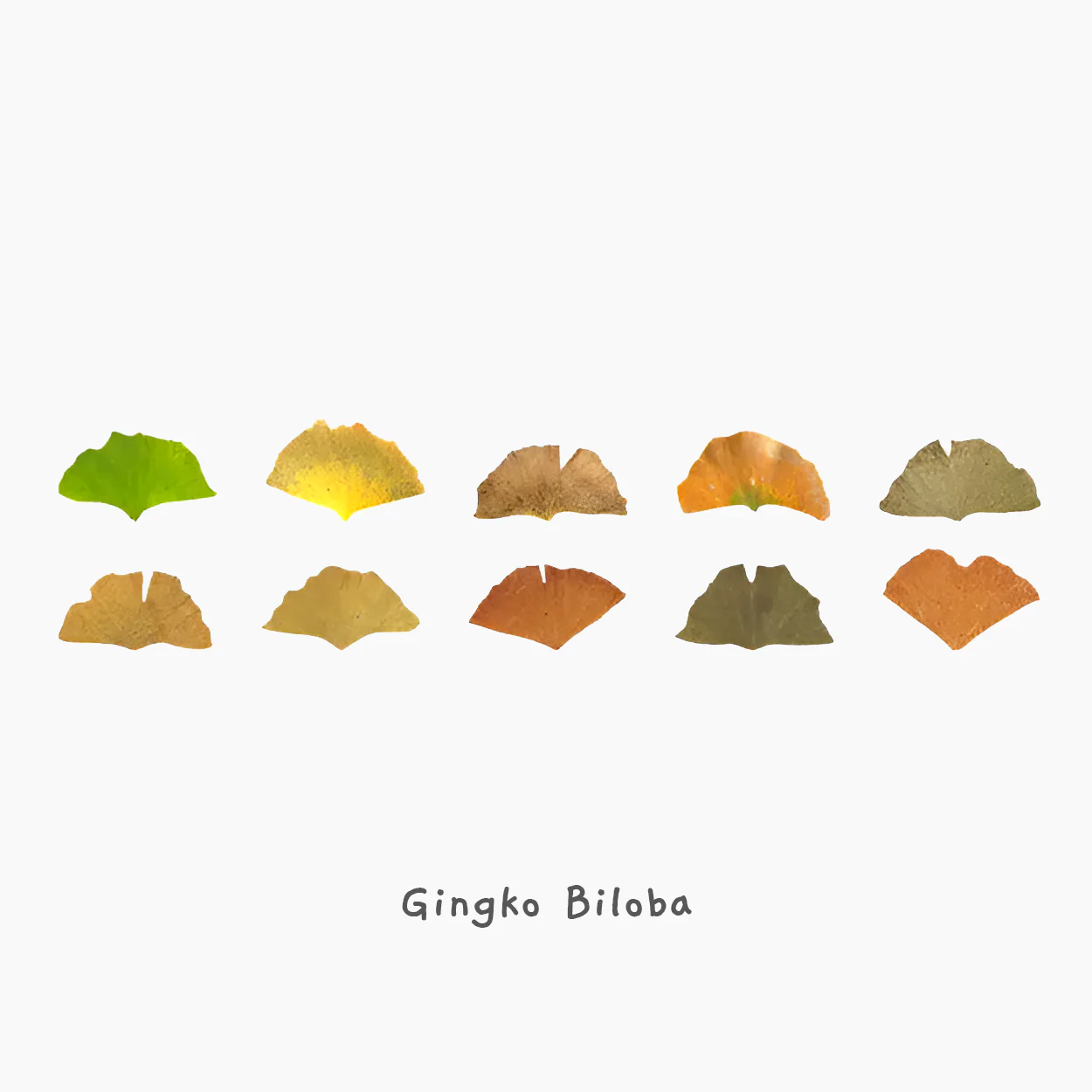 Fall Leaves Masking Sticker Roll