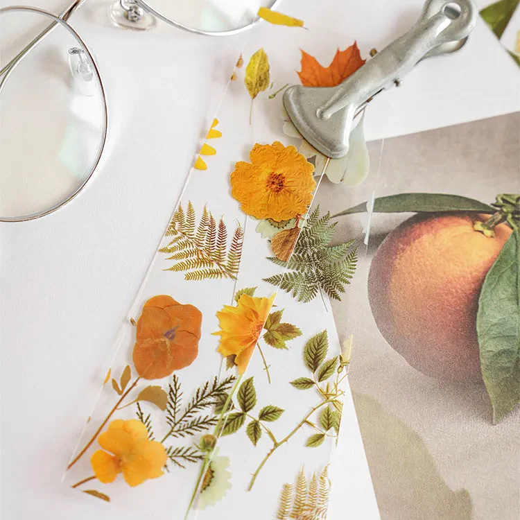 Pressed Flower Transparent Bookmarks - Set of 5