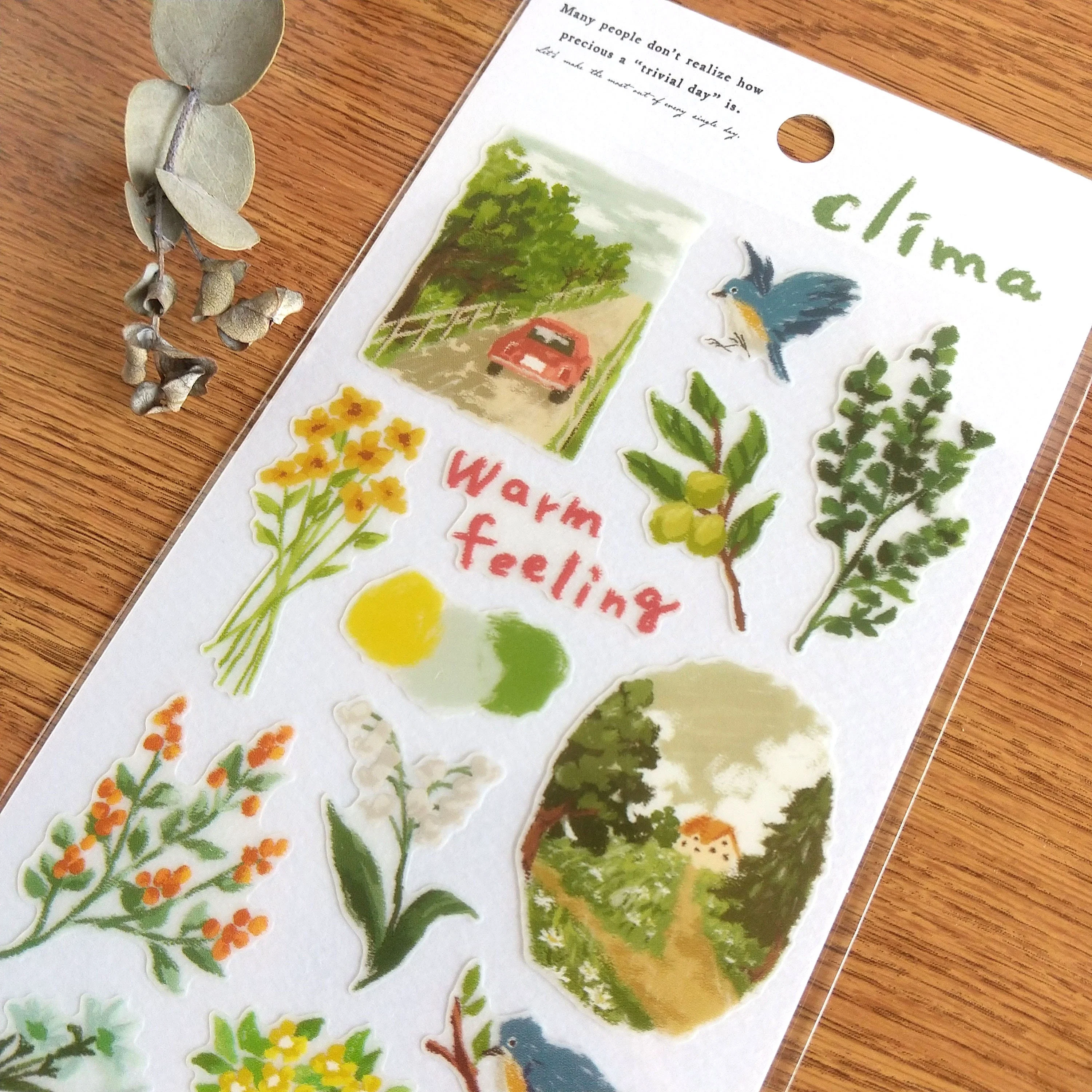 Mind Wave Clima Stickers