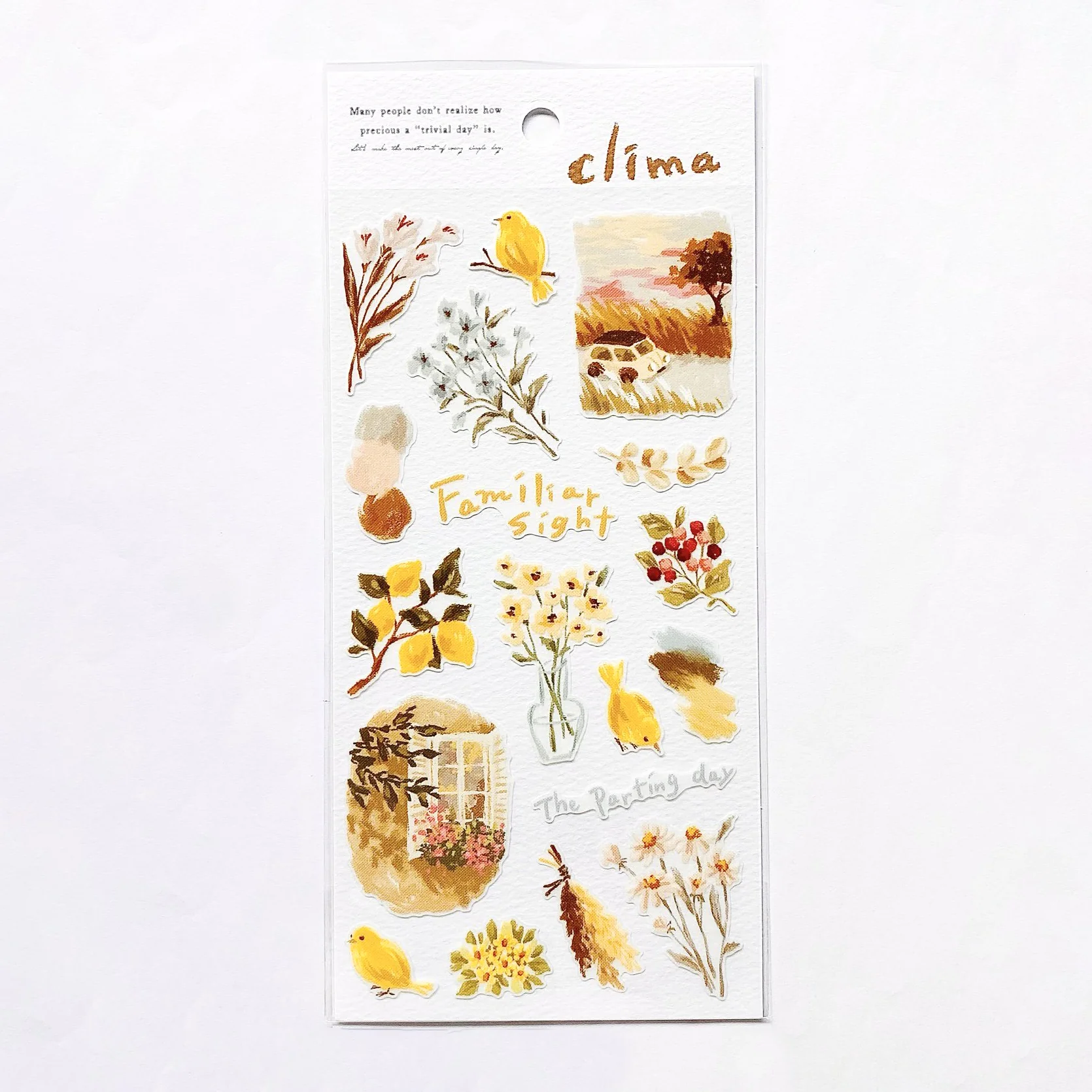 Mind Wave Clima Stickers