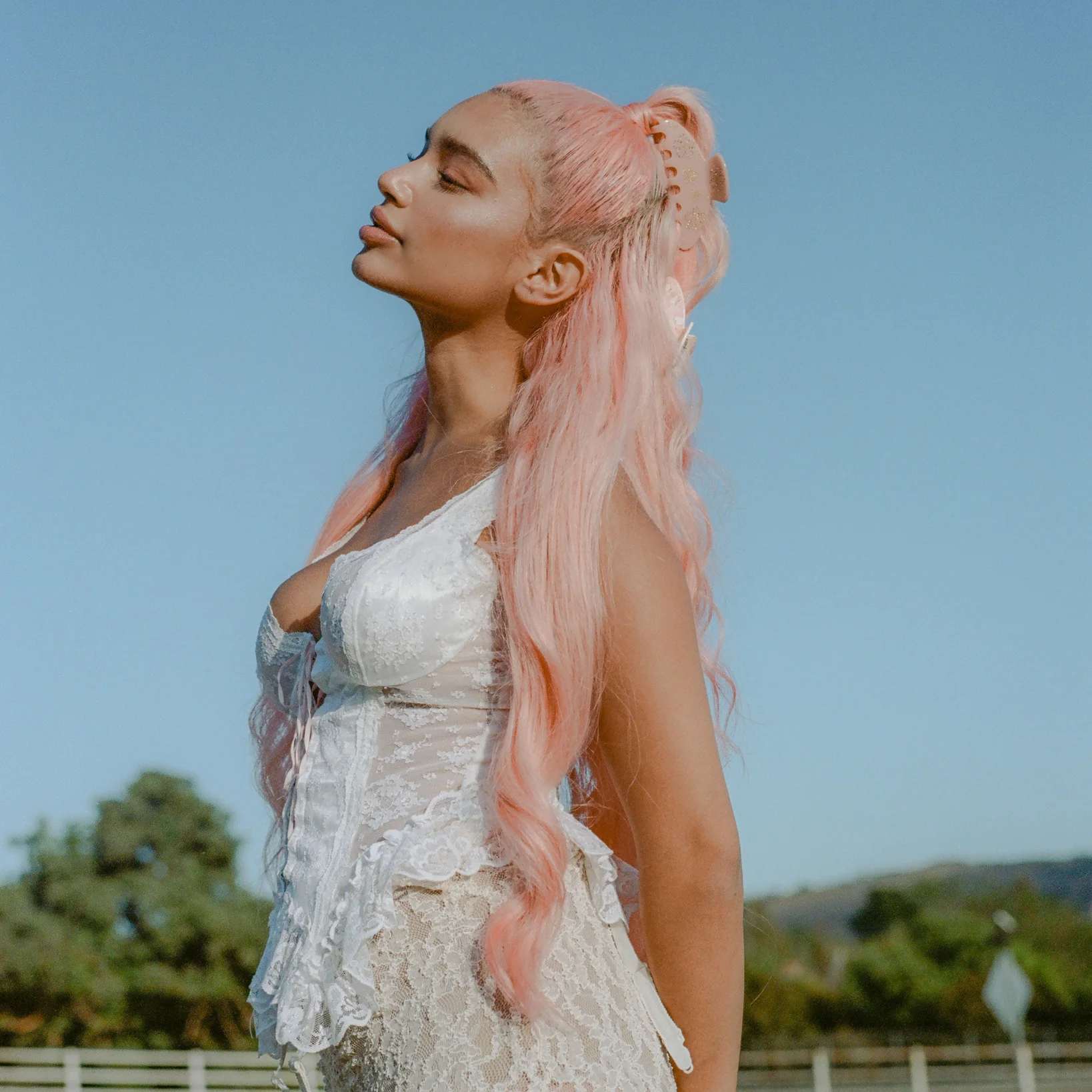 Big Effing Clip in Strawberry Shortcake