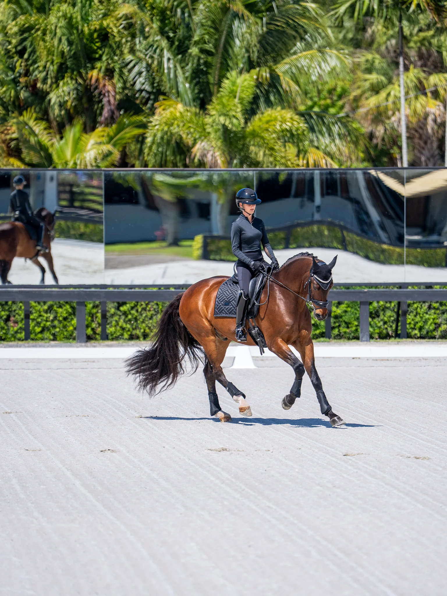 Dressage Saddle Pad Modern Black