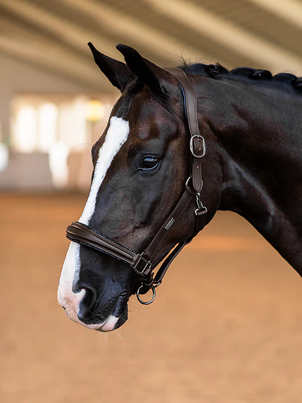 Glimmer Anatomic Leather Halter All Brown