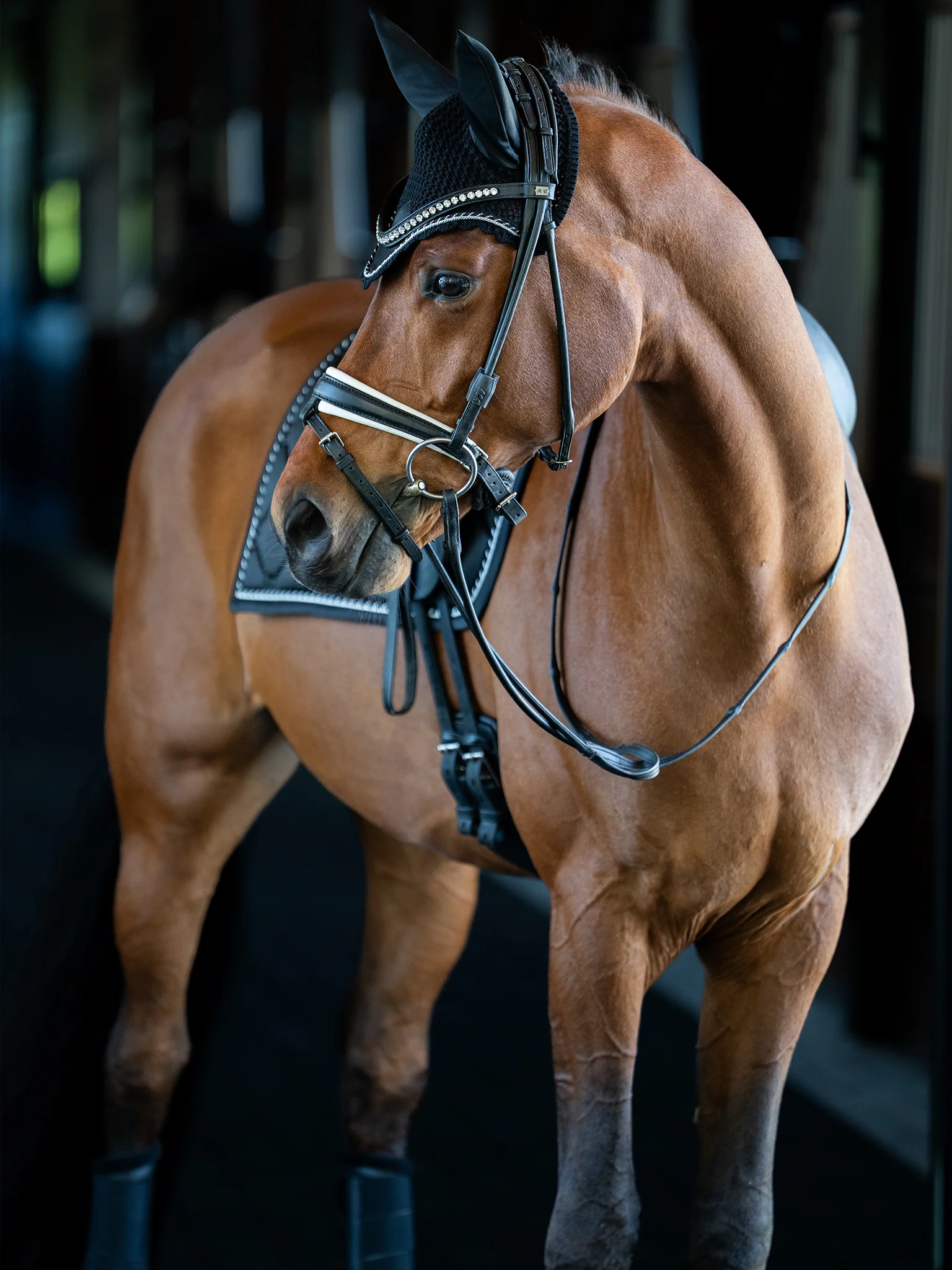Dressage Saddle Pad Black Edition