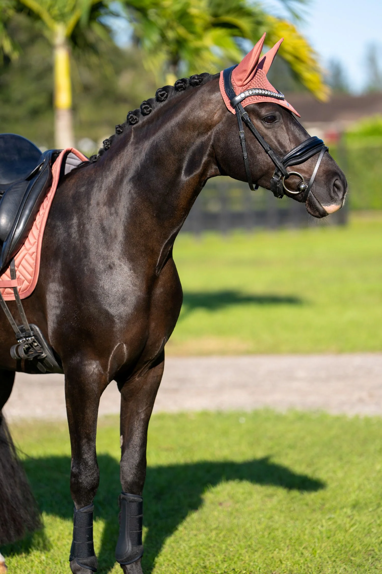 Ear Bonnet Modern Coral