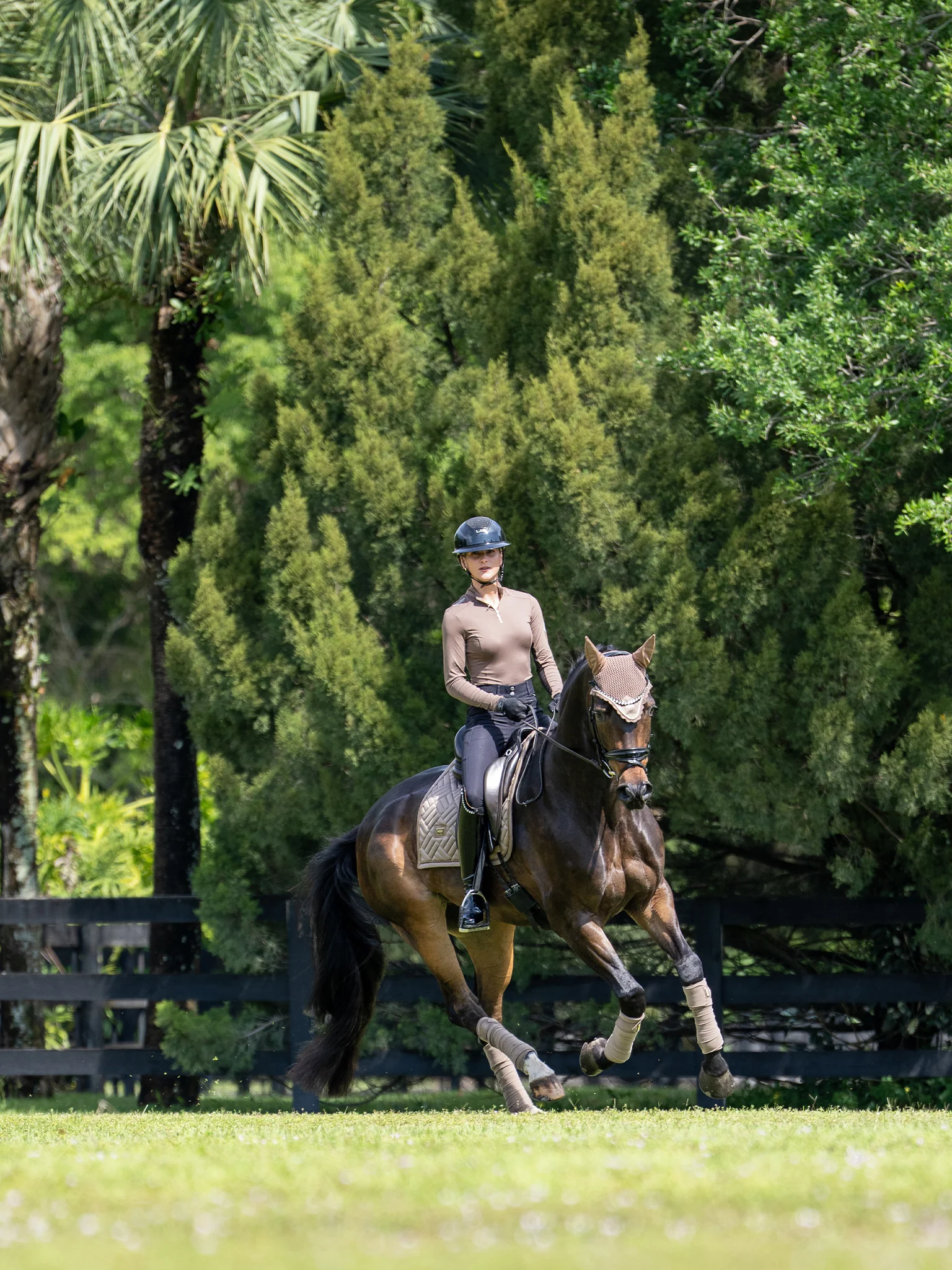 Dressage Saddle Pad Modern Champagne