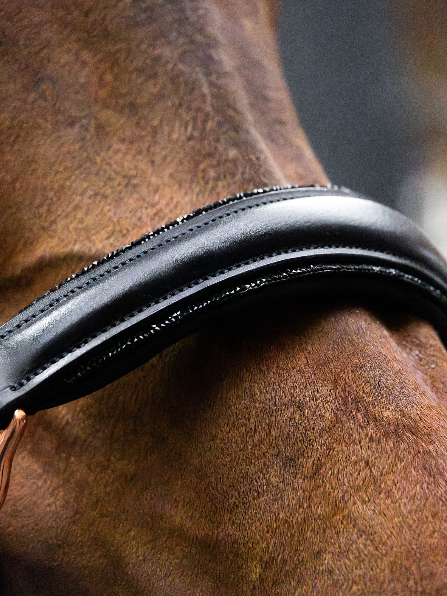 Glimmer Anatomic Leather Halter Dark Ocean