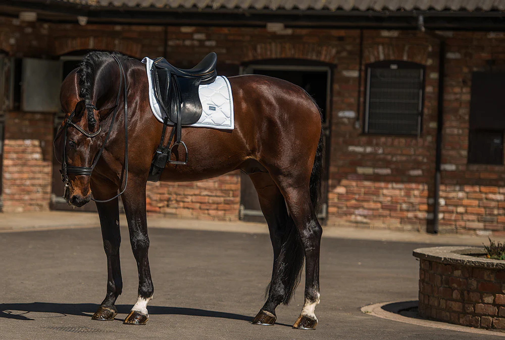 Dressage Saddle Pad White Perfection Silver