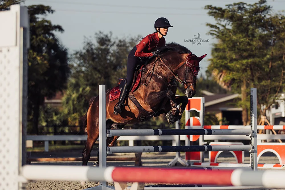 Jump Saddle Pad Bordeaux