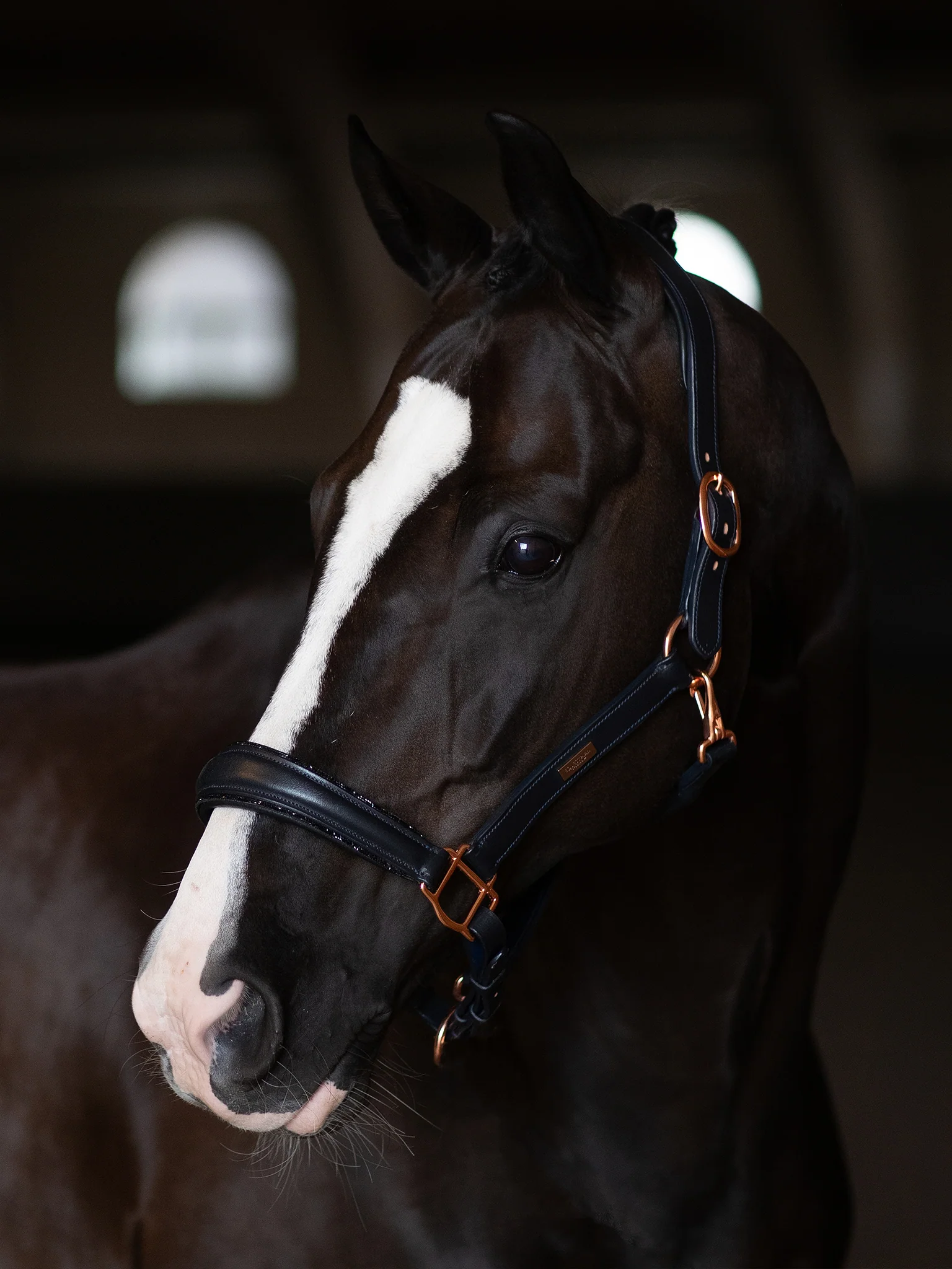 Glimmer Anatomic Leather Halter Dark Ocean