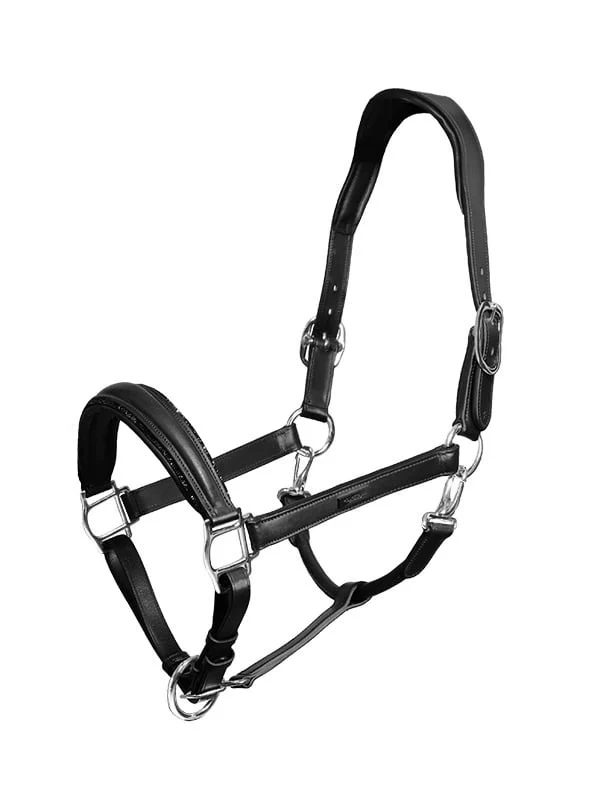 Glimmer Anatomic Leather Halter Black Edition