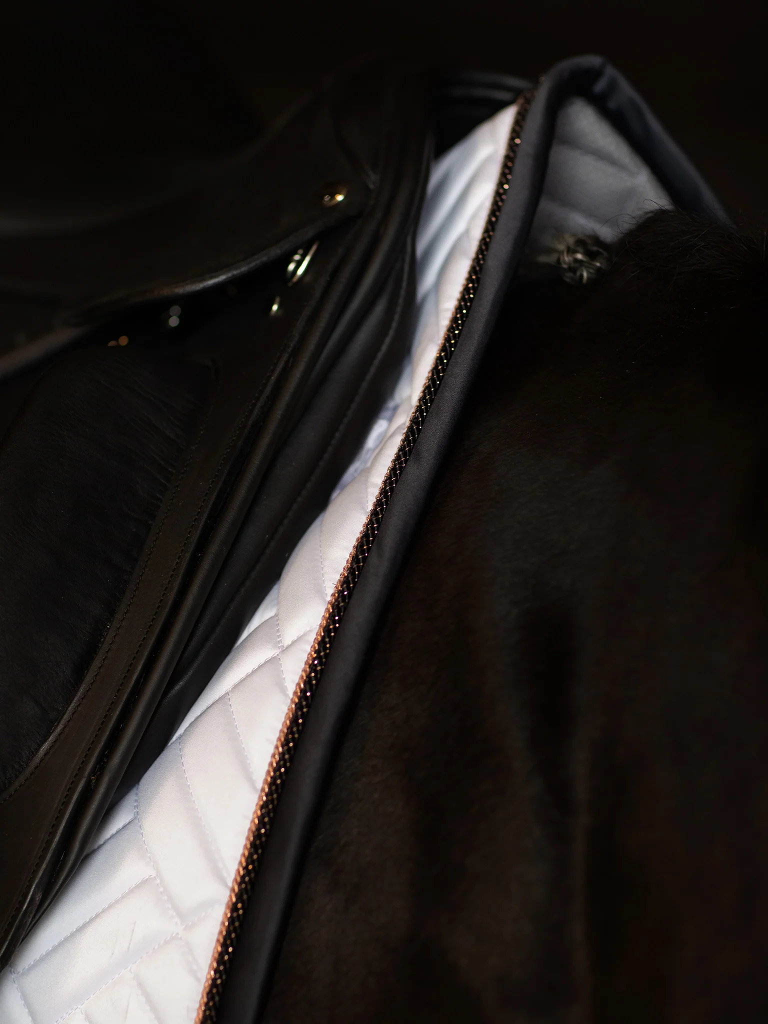 Dressage Saddle Pad Modern White Dark Ocean