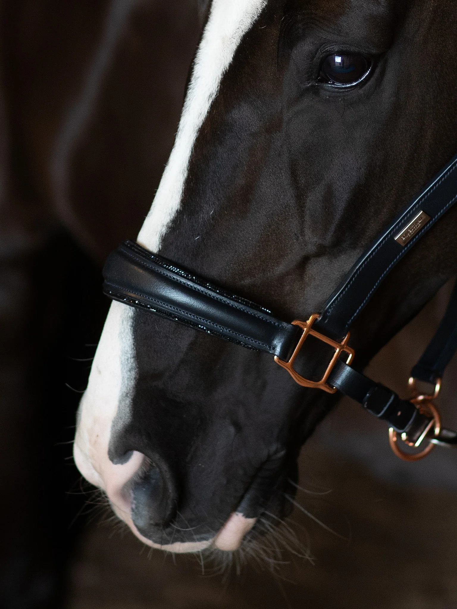 Glimmer Anatomic Leather Halter Dark Ocean