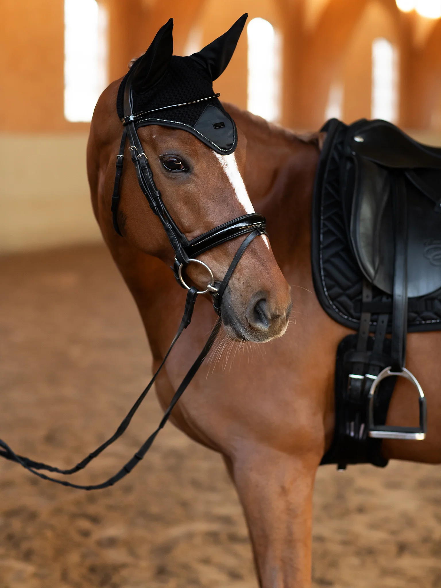 Ear Bonnet Modern Black