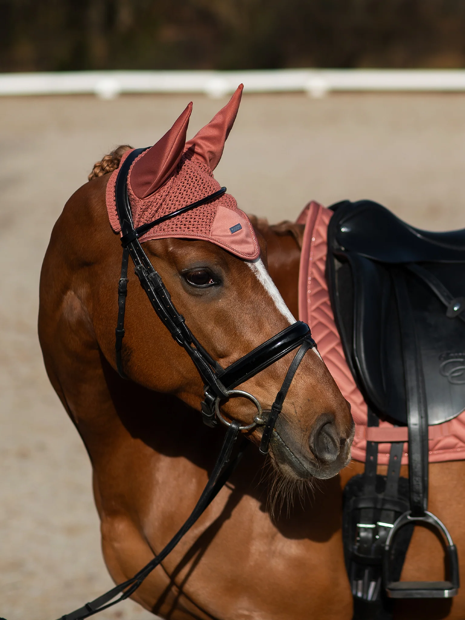 Ear Bonnet Modern Coral