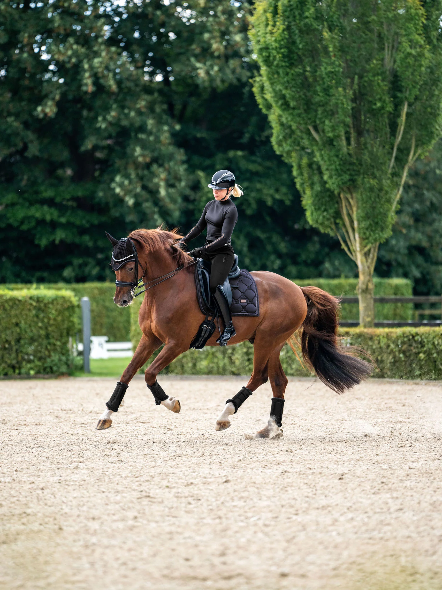 Dressage Saddle Pad Dark Ocean