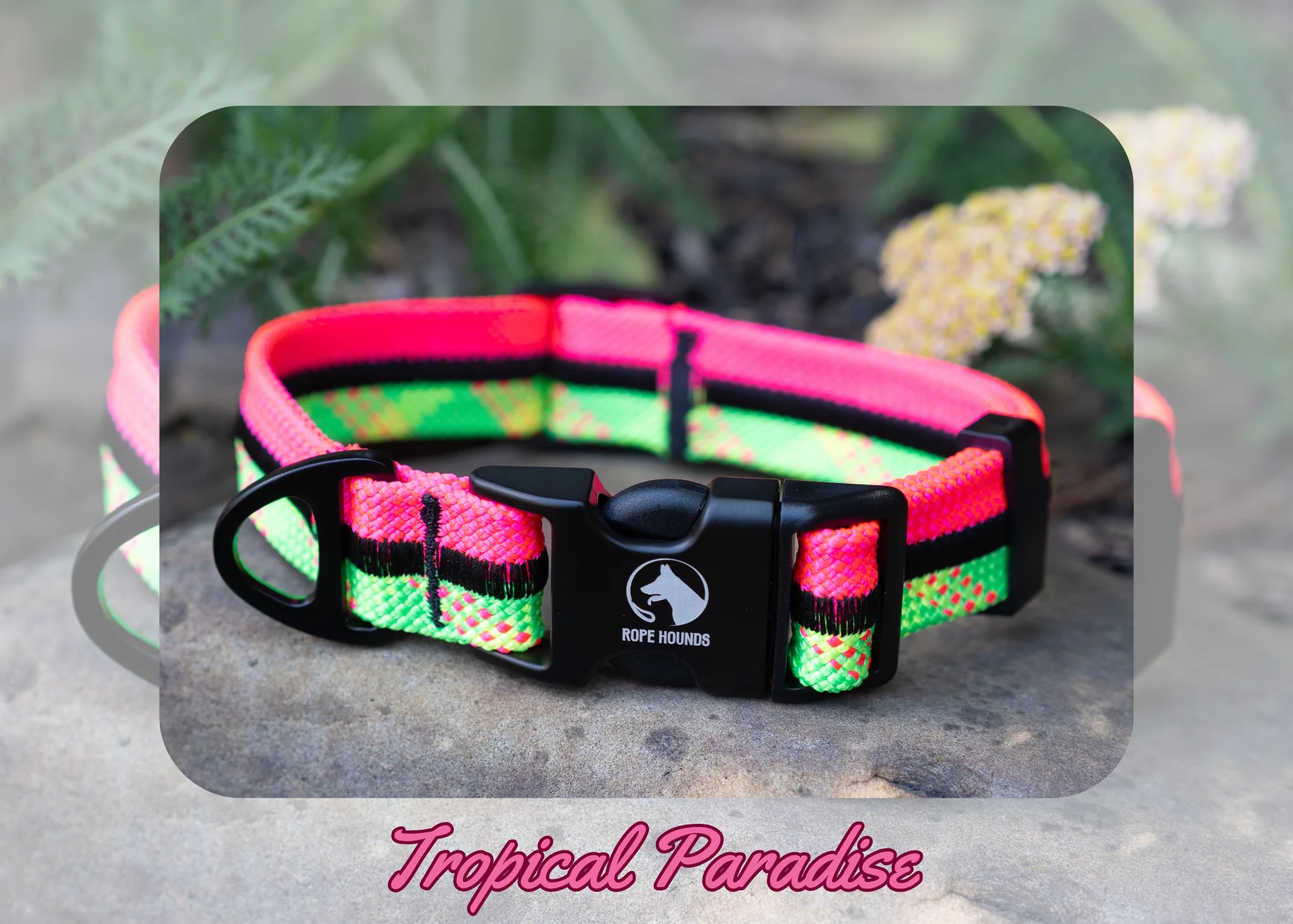 Tropical Paradise Fi Compatible Collar - SUMMER RELEASE