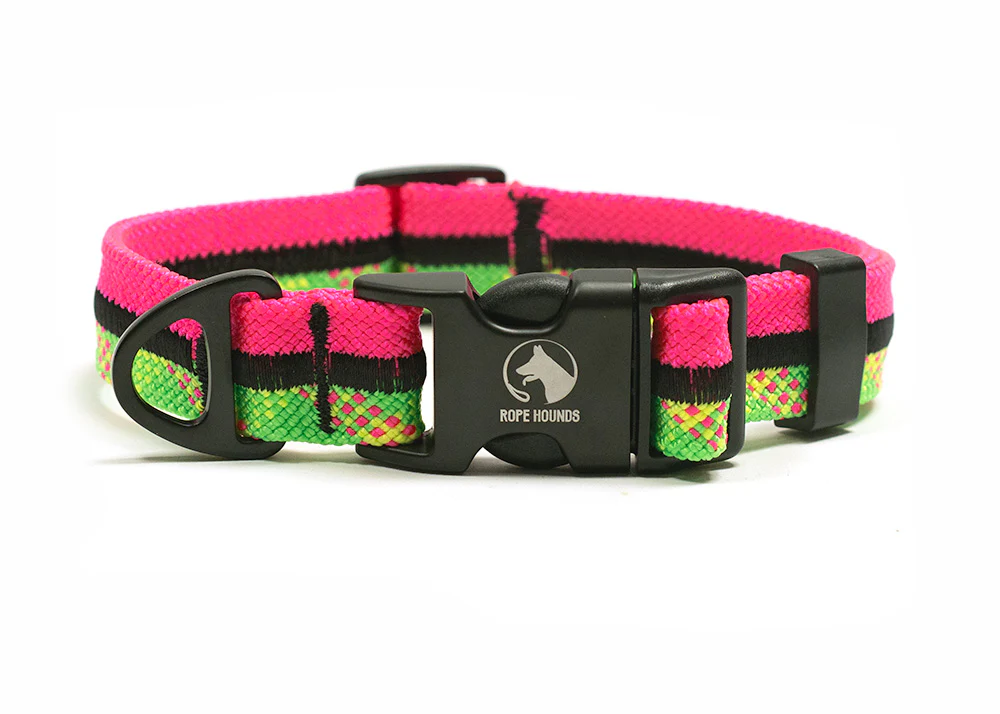 Tropical Paradise Fi Compatible Collar - SUMMER RELEASE
