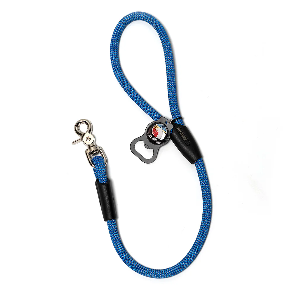 2' Dog Traffic Lead - Blues